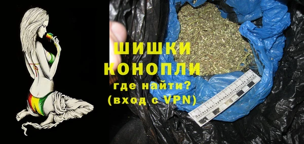хмурый Аркадак
