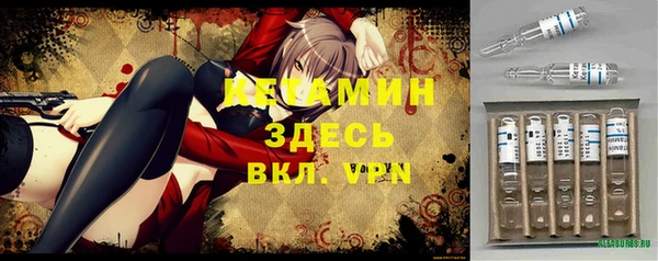 хмурый Аркадак