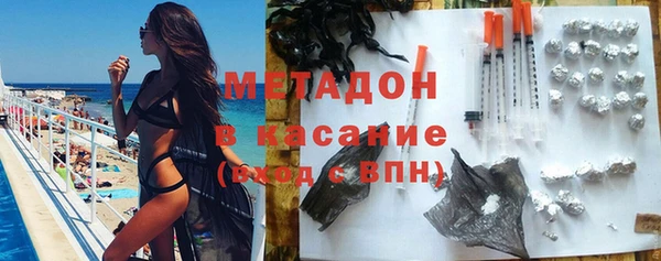 хмурый Аркадак