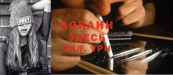 хмурый Аркадак