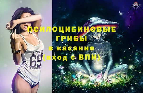 дурь Алексин