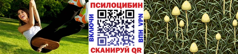 Псилоцибиновые грибы Magic Shrooms Новодвинск