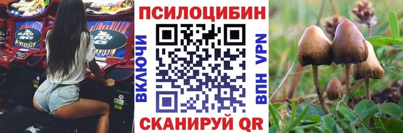 Галлюциногенные грибы MAGIC MUSHROOMS  Новодвинск 